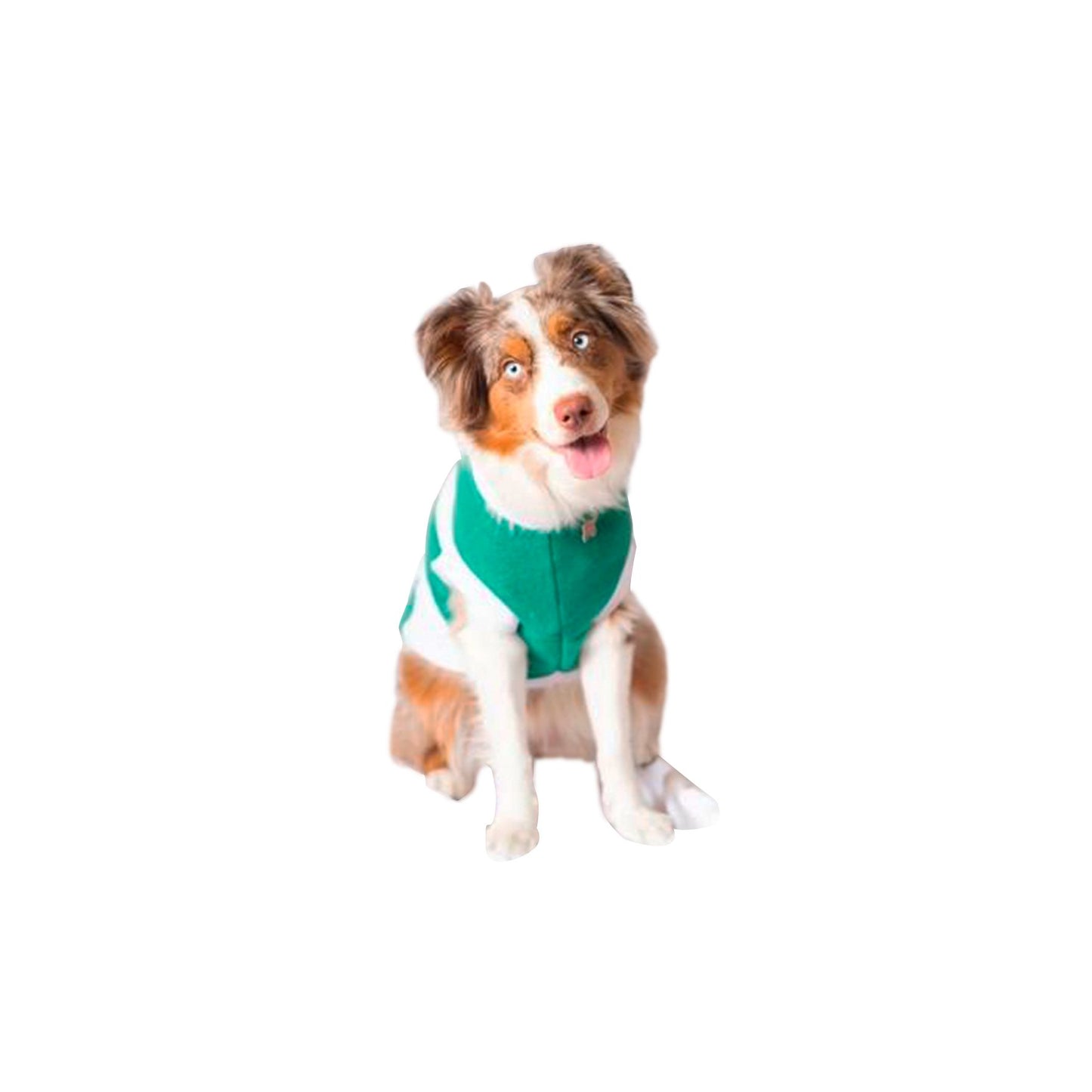 SANTOS SWEATER, IN GREEN COLOR