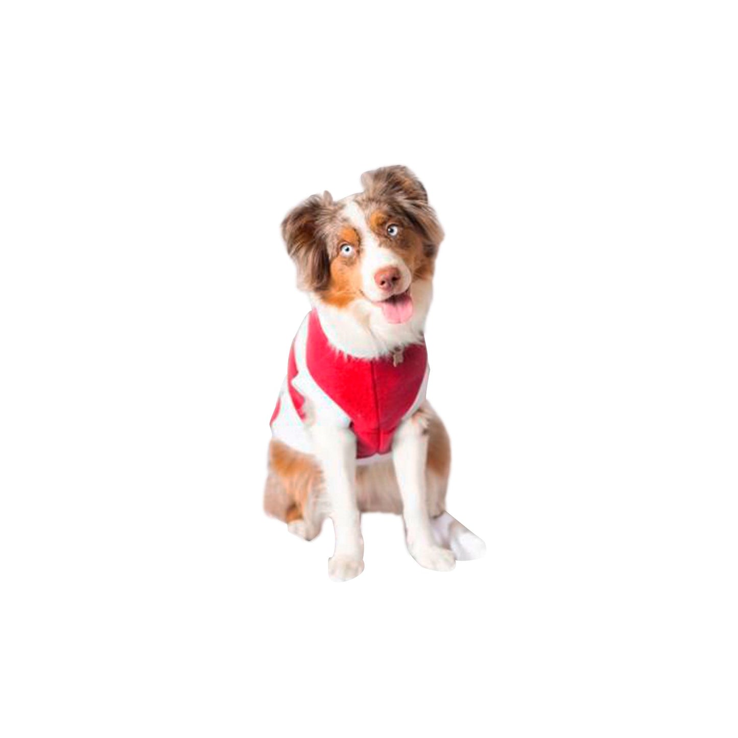 SANTOS SWEATER, IN PINK COLOR