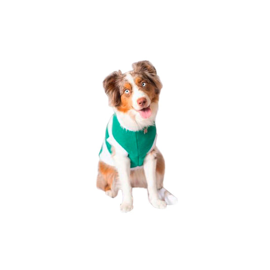 SANTOS SWEATER, IN GREEN COLOR