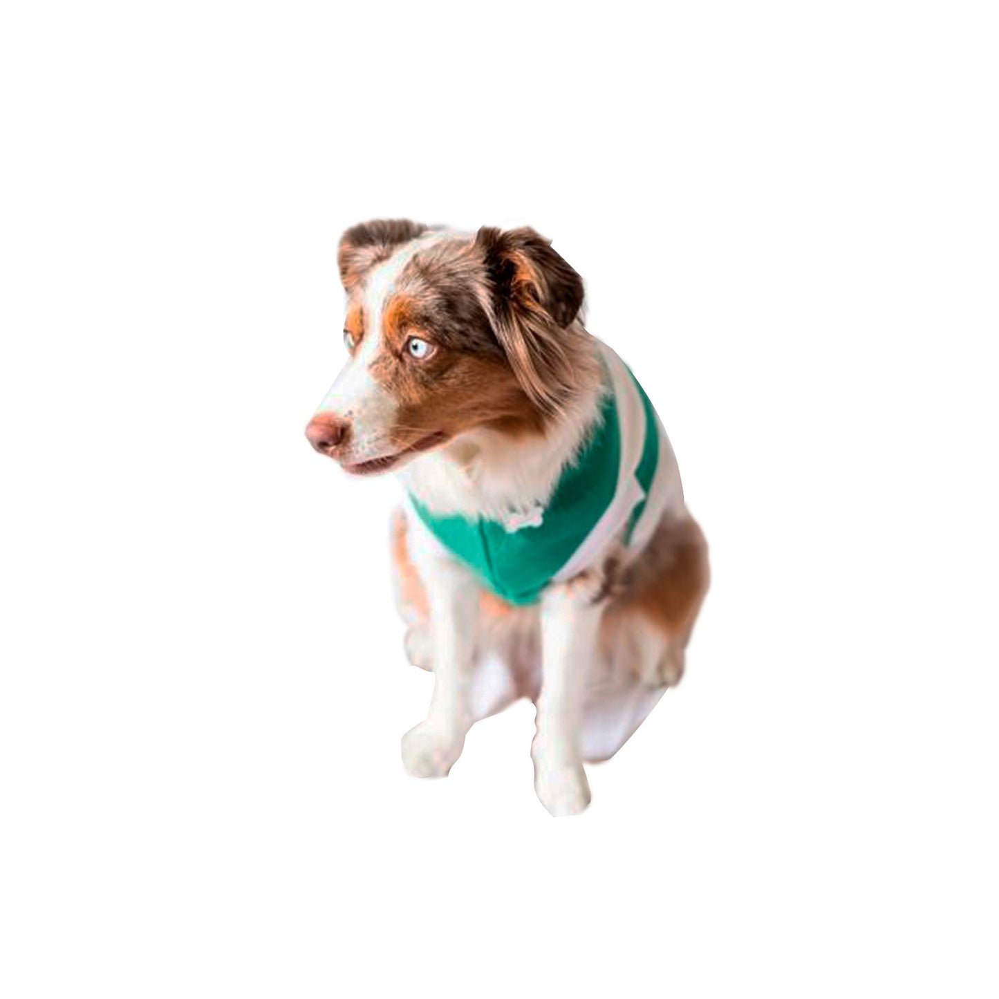 SANTOS SWEATER, IN GREEN COLOR